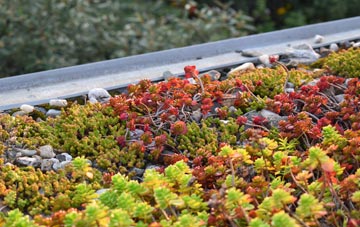 the cost of Hazelgrove green roof installation