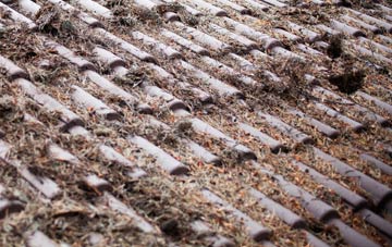 Hazelgrove roof cleaning companies